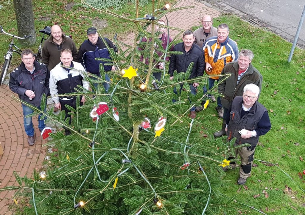 Tannenbaum im Dorf