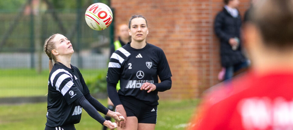 Faustball Feldsaison 2026 | News 03